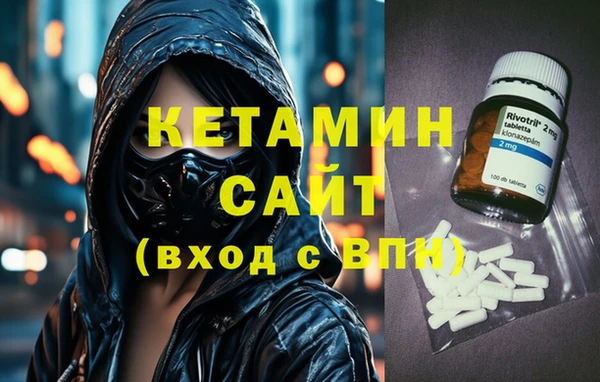 крисы Алзамай